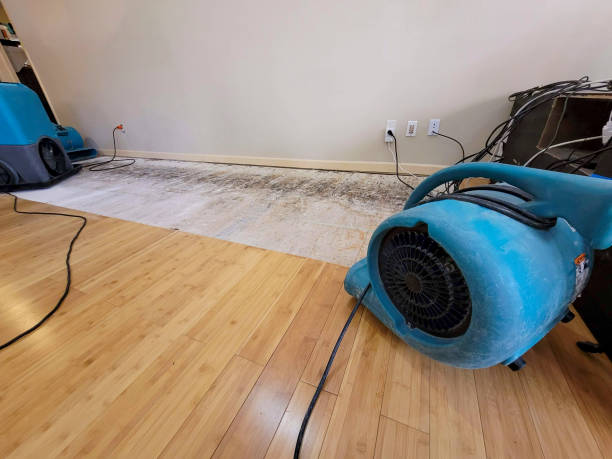 Professional Basement Flood Cleanup technician working in Gilman, IA